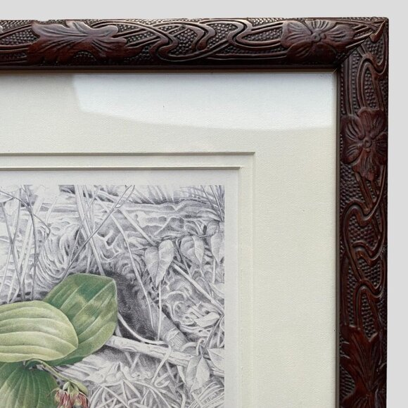 Vintage Framed Botanical Print Signed R. Brown Lady Slipper Artist Note Cottage - Picture 7 of 16